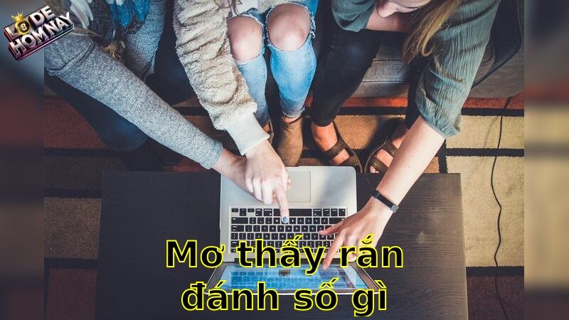 Mơ thấy rắn đánh số gì - Giải Mã Giấc Mơ Thần Bí Và Cơ Hội Trúng Lớn 2025