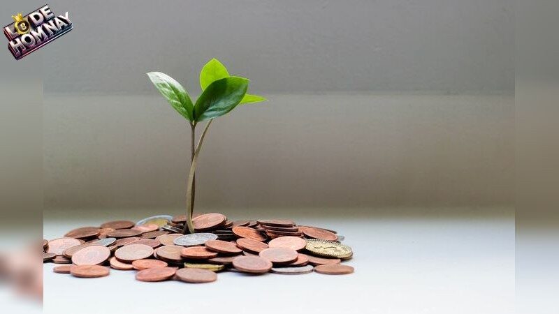 Tâm Lý và Kỹ Năng Quyết Định